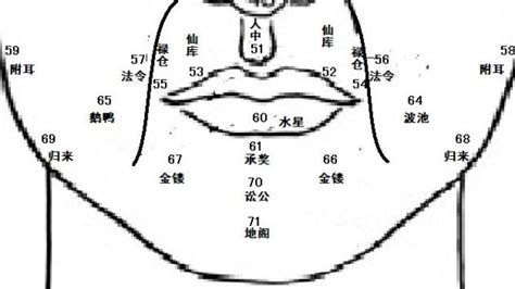 鼻面相|麦玲玲面相讲座之 鼻子 – 人相学